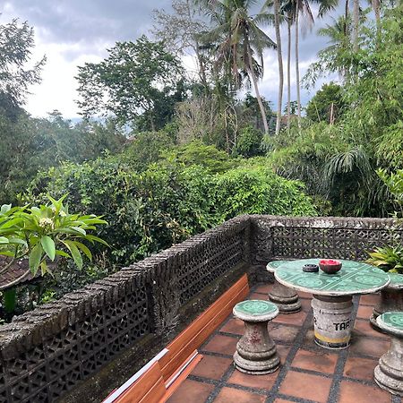 Rumah Kelinci Ubud Exteriér fotografie