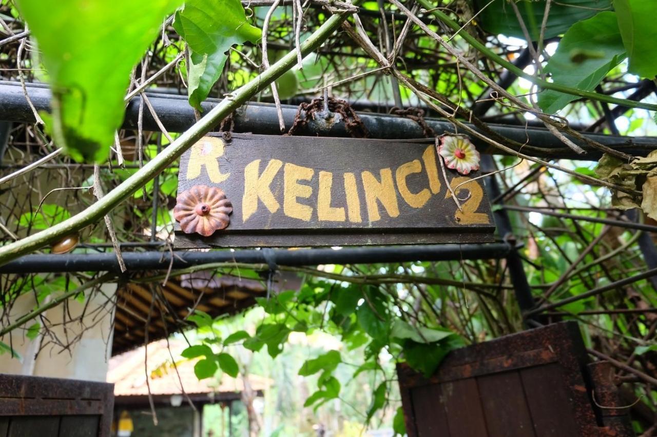 Rumah Kelinci Ubud Exteriér fotografie
