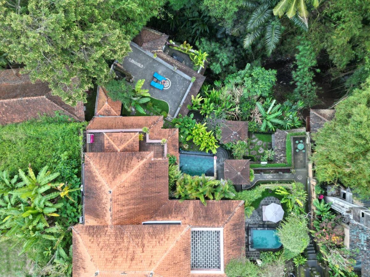 Rumah Kelinci Ubud Exteriér fotografie