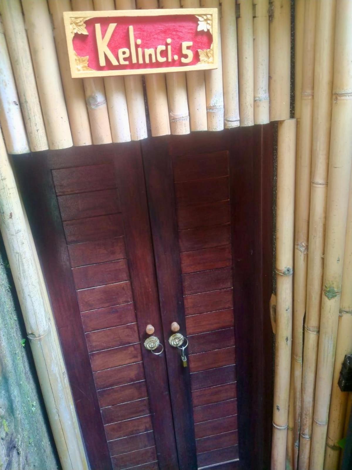 Rumah Kelinci Ubud Exteriér fotografie