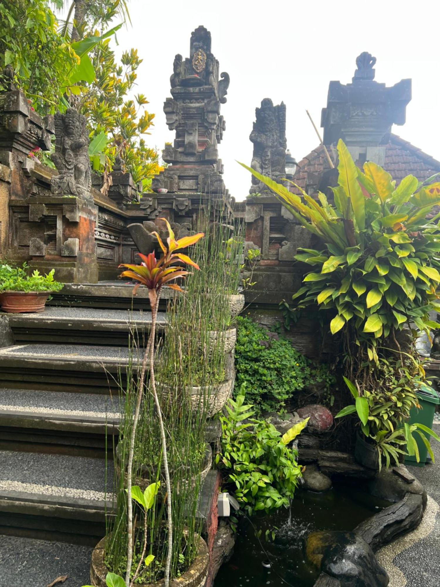 Rumah Kelinci Ubud Exteriér fotografie