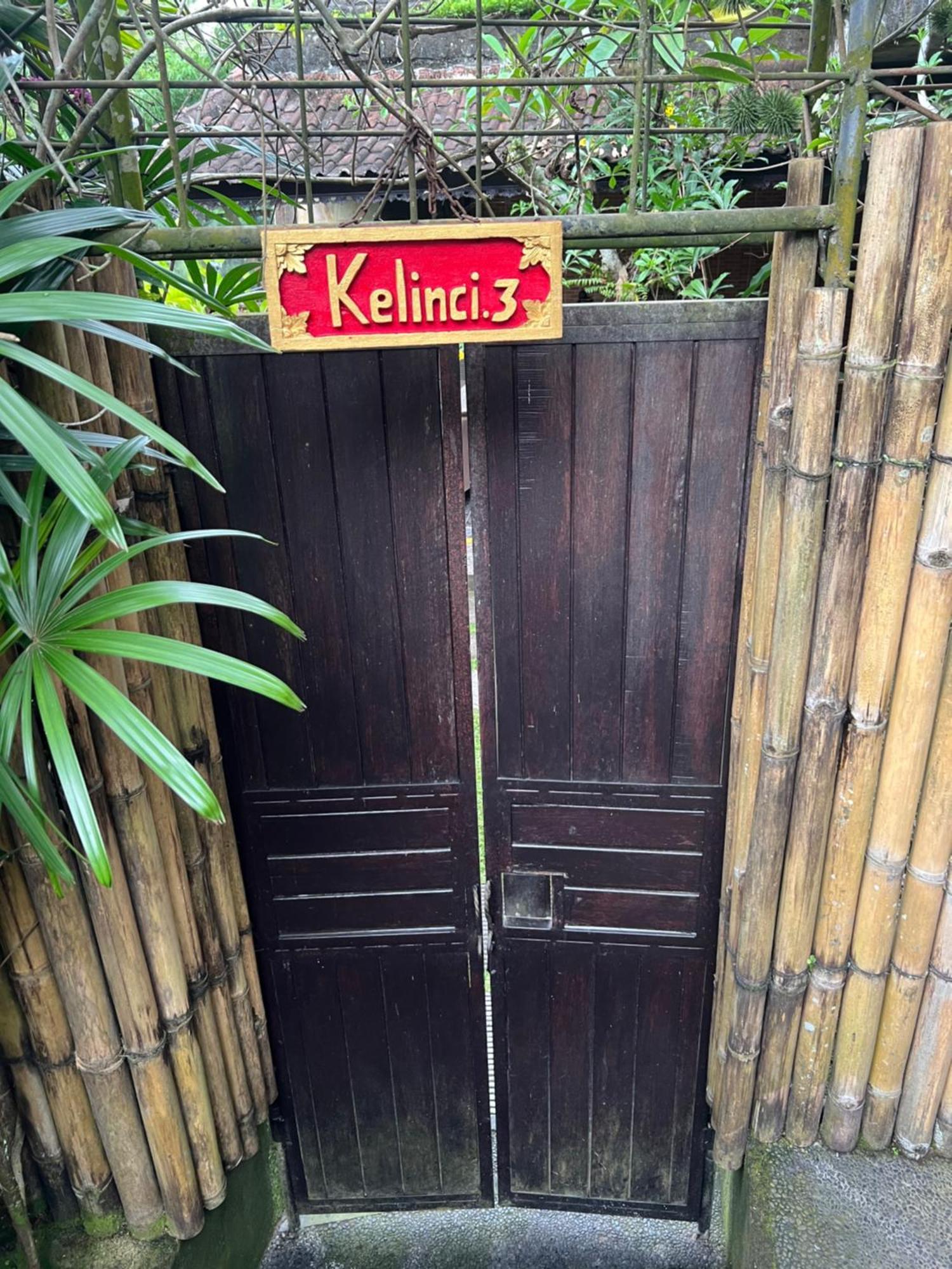Rumah Kelinci Ubud Exteriér fotografie