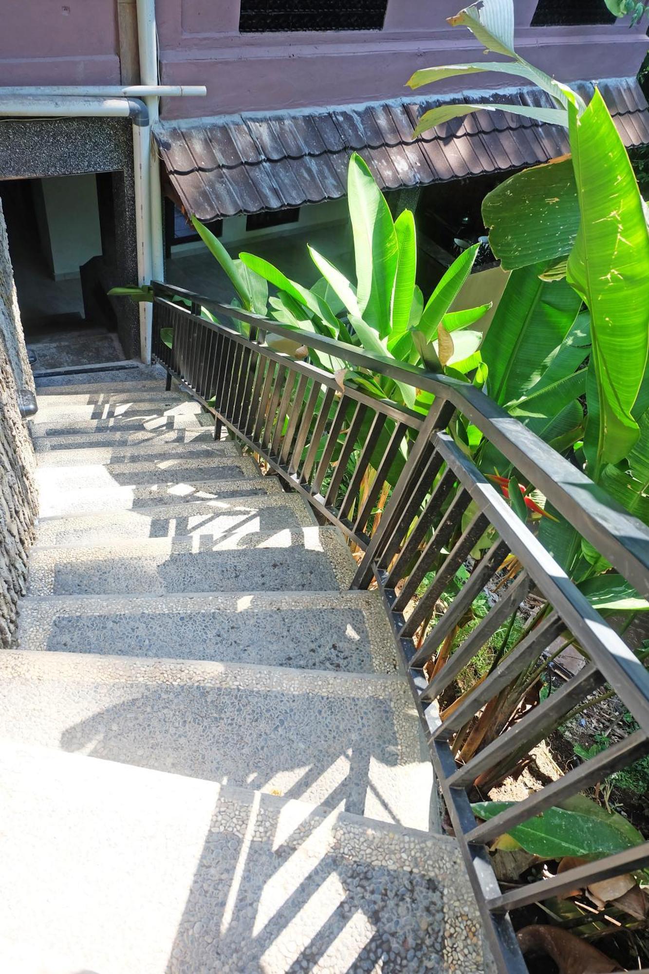 Rumah Kelinci Ubud Exteriér fotografie
