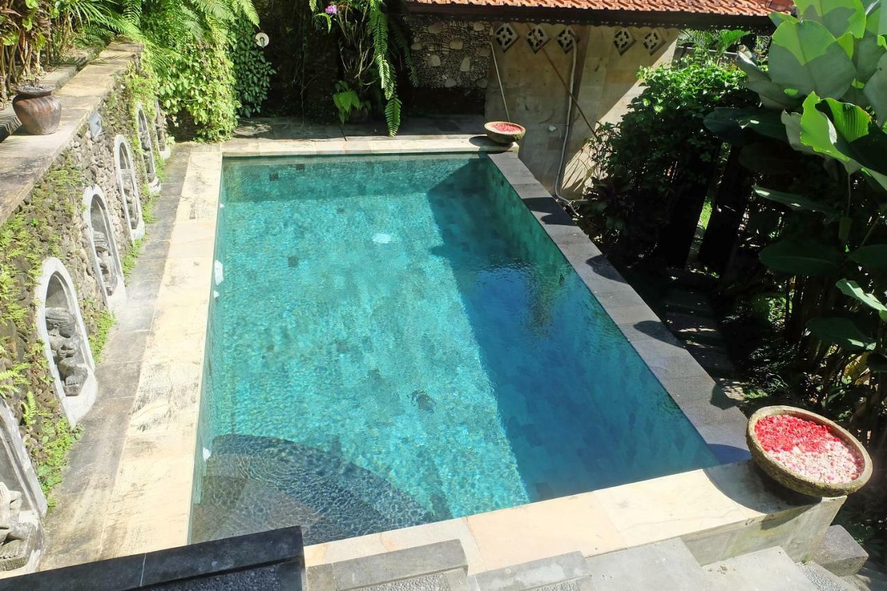 Rumah Kelinci Ubud Exteriér fotografie